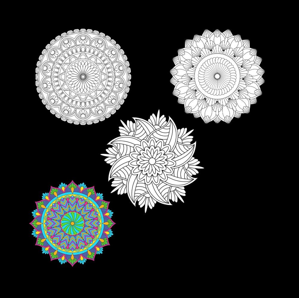 Mini Coloring Book BEAUTIFUL MANDALA PATTERNS: FUN FLOWERS (Volume 5) - Mini Muffin Bookstore