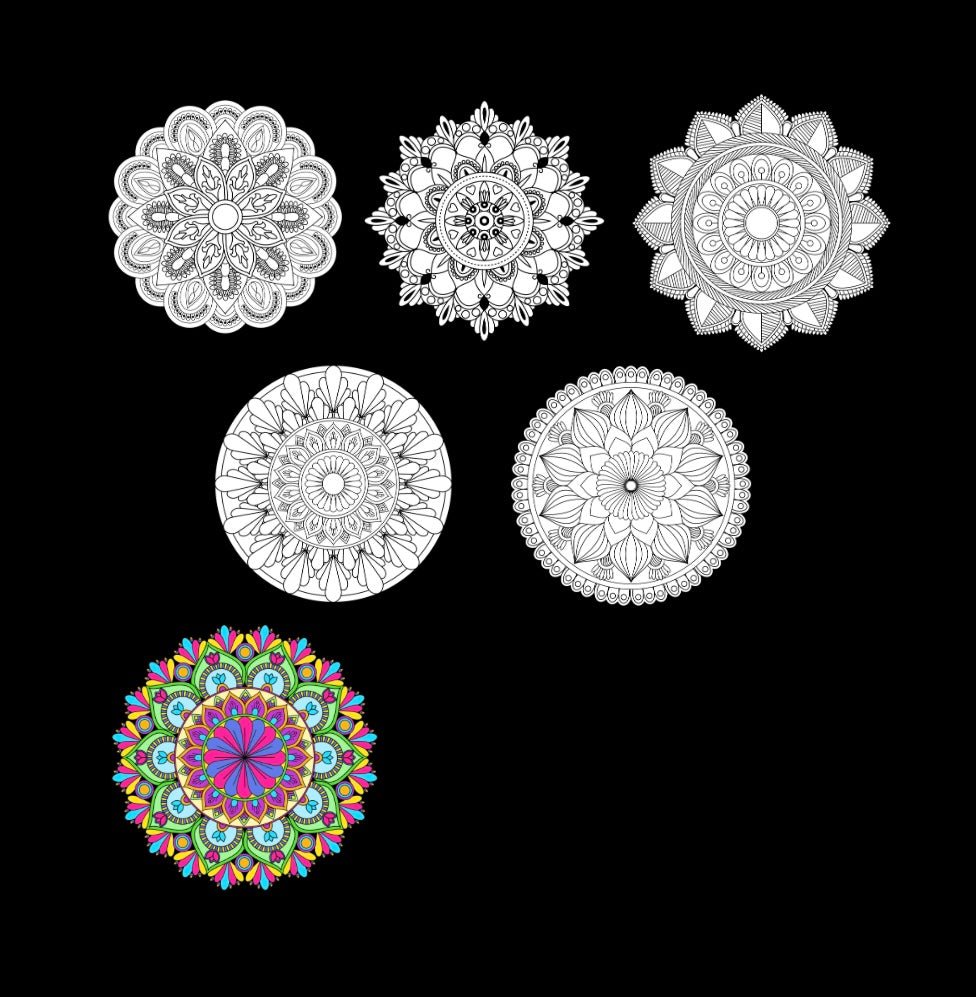 Mini Coloring Book BEAUTIFUL MANDALA PATTERNS: FUN FLOWERS (Volume 6) - Mini Muffin Bookstore