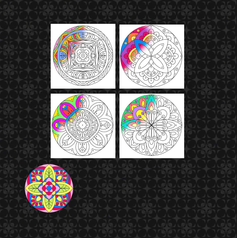 Mini Coloring Book CREATE YOUR OWN FLOWER MANDALAS COLOR BY NUMBER - Mini Muffin Bookstore